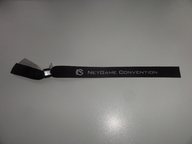 NetGame Convention 2015 - 087